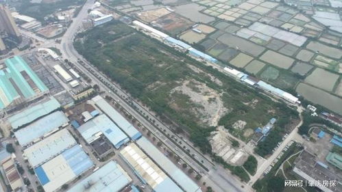 投資5億 183畝 肇慶水產綜合體一期規劃來了