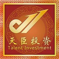 長春天臣投資咨詢|長春天臣投資咨詢網(wǎng)站