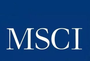 a股納入msci指數 助推中國資本市場國際化
