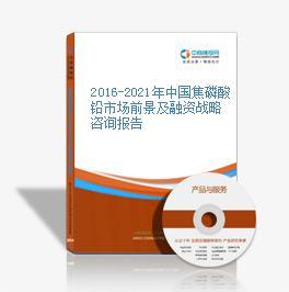 2016-2021年中國焦磷酸鉛市場前景及投資機會研究